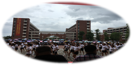 1530498496435954.png 1530498496435954.png