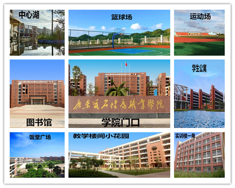 1586523142661178.jpg 640 (2).webp_副本.jpg