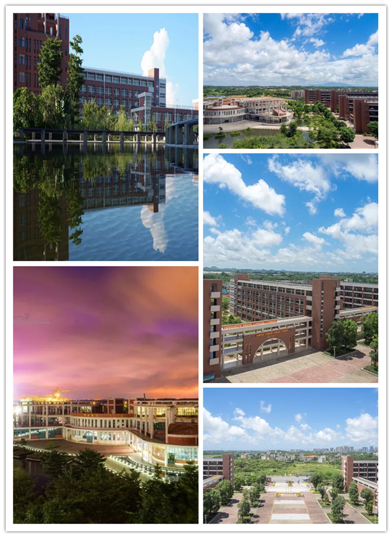 1586523699719716.jpg 640.webp_副本.jpg