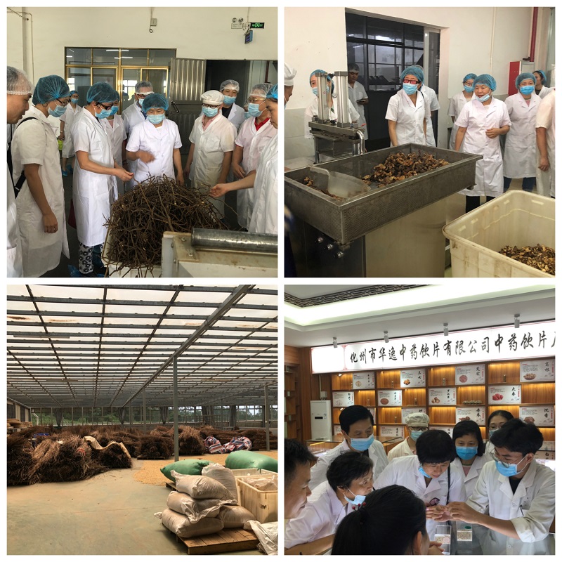 图4参观化州市华逸中药饮片有限公司.JPG