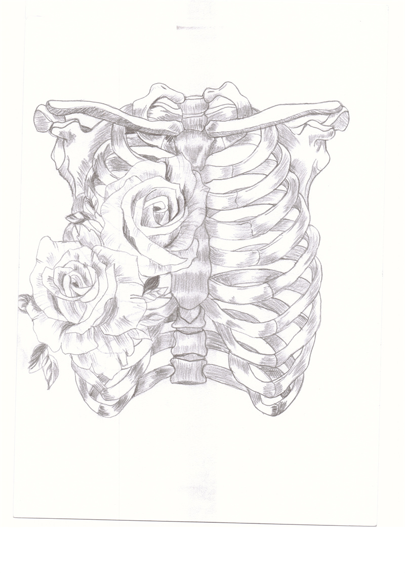 医学与艺术碰撞推动五育并举广茂健院举办第三届解剖学绘图比赛