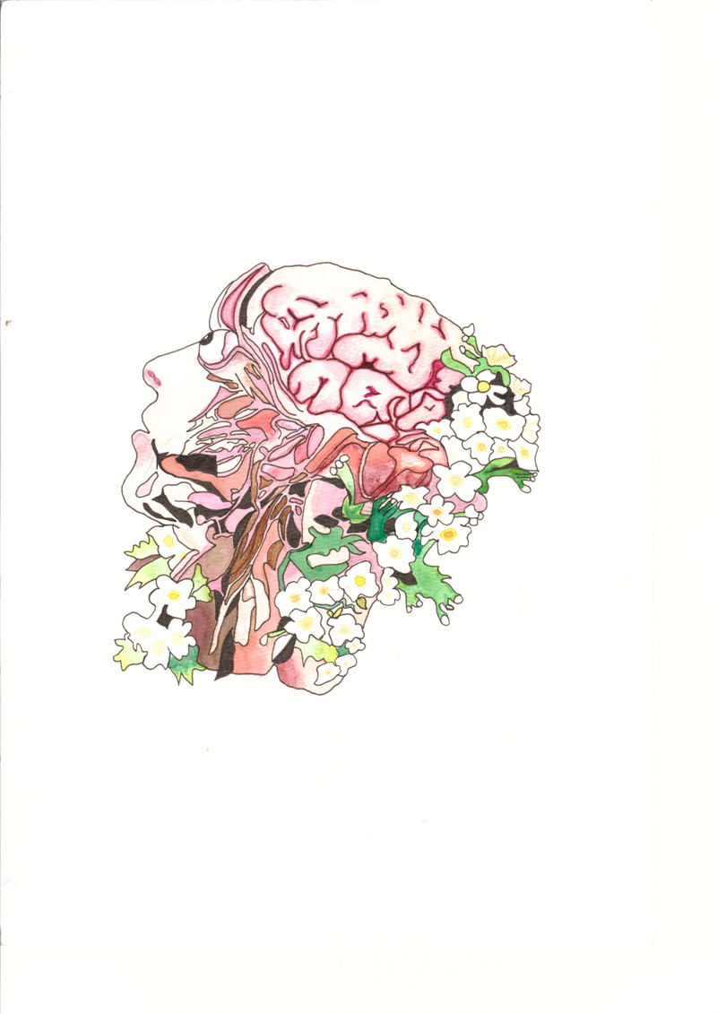 医学与艺术碰撞推动五育并举广茂健院举办第三届解剖学绘图比赛