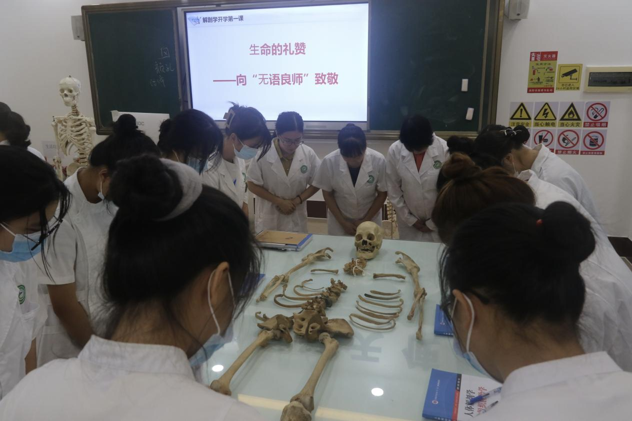 图为对“大体老师”默哀.png