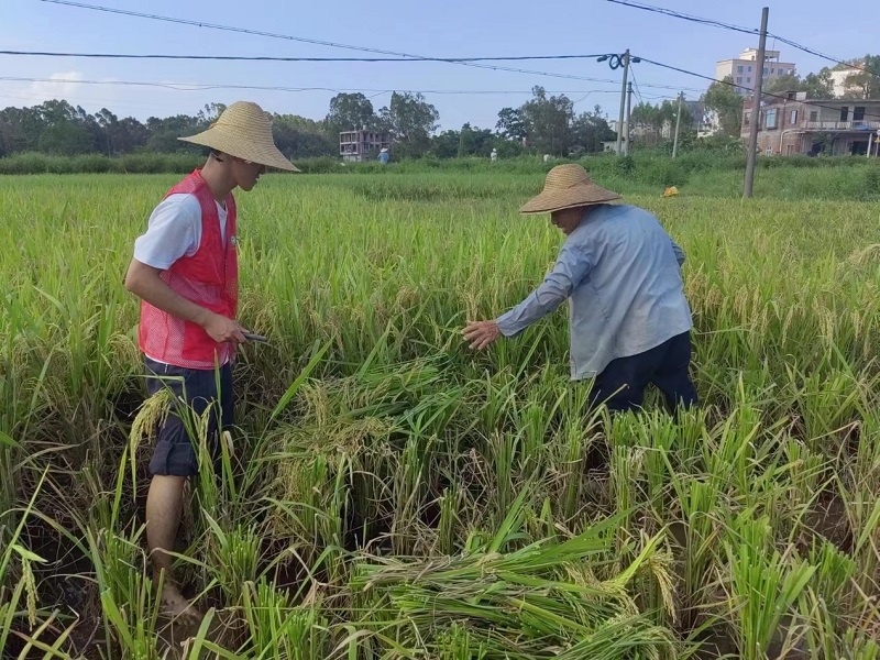 1688797198389045.jpg 图片10.jpg