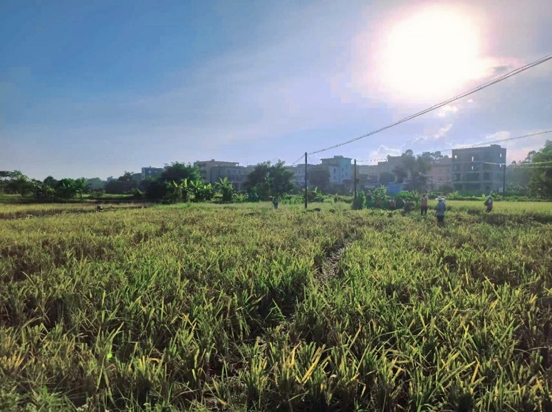 1688797310747904.jpg 图片14.jpg