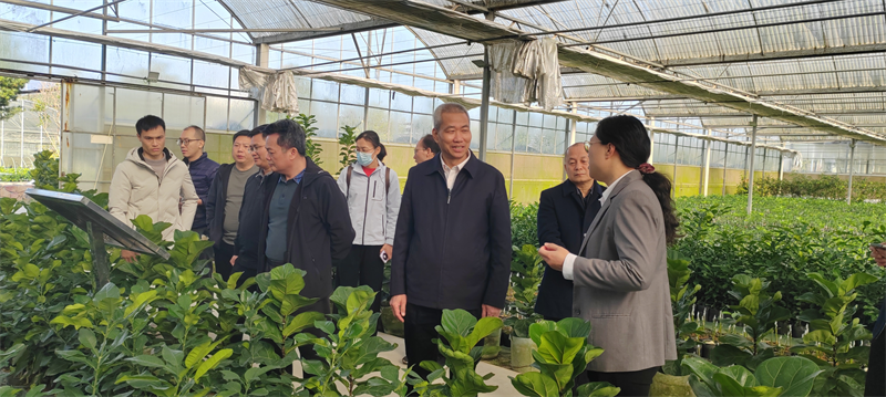 图4  参观 种苗繁育基地1.png