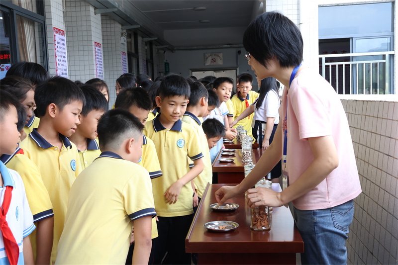 1719278302278751.jpg 图为小学生辨识中药.jpg