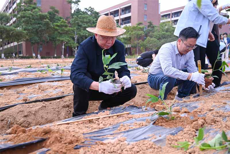 1741855419337141.jpg DSC_2975-19.jpg